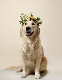 Photo of Adorable golden Retriever wearing wreath made of beautiful flowers indoors