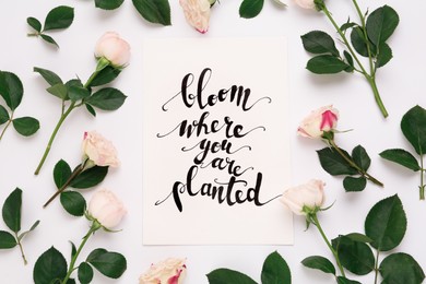 Photo of Frame of beautiful flowers and paper card with handwritten text Bloom where you are planted on white background, flat lay