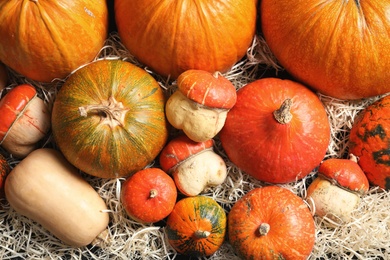 Photo of Many different pumpkins as background, closeup. Autumn holidays