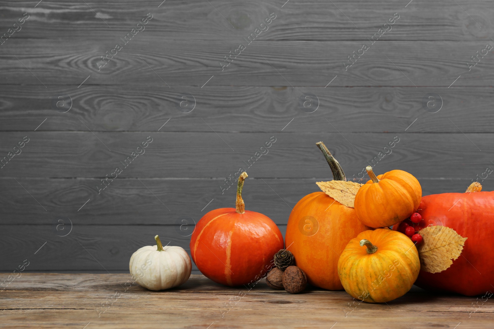 Photo of Happy Thanksgiving day. Beautiful composition with pumpkins on wooden table, space for text