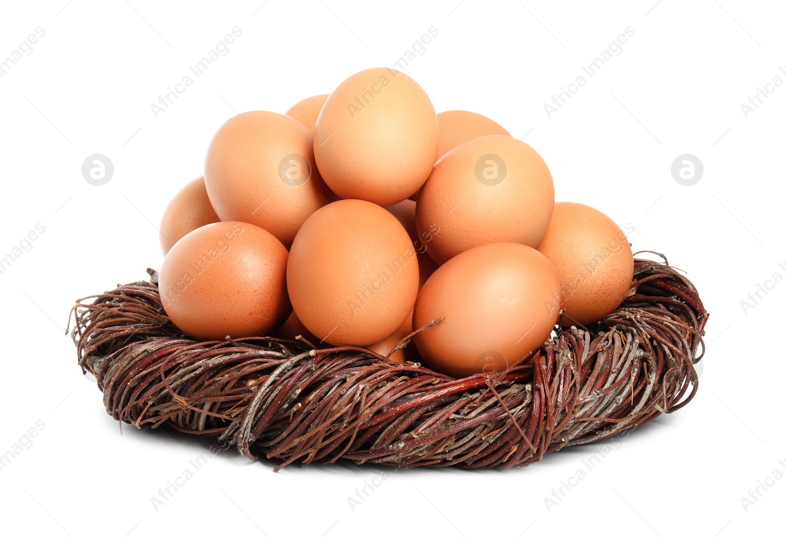 Photo of Chicken eggs and nest isolated on white