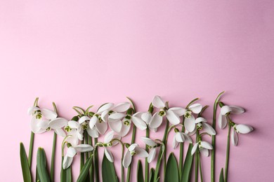 Photo of Beautiful snowdrops on pink background, flat lay. Space for text
