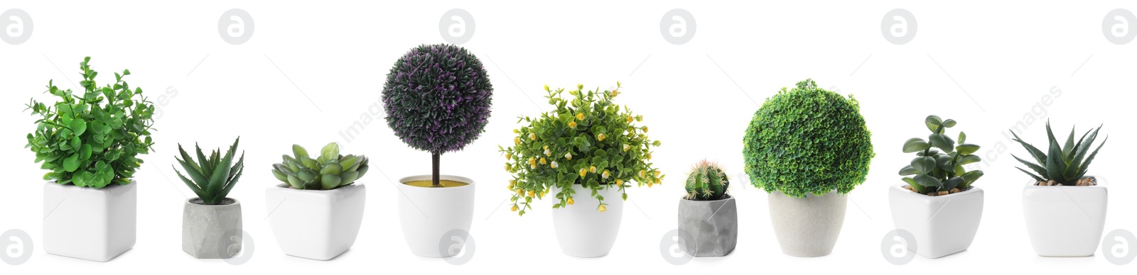 Image of Set of artificial plants in flower pots isolated on white. Banner design