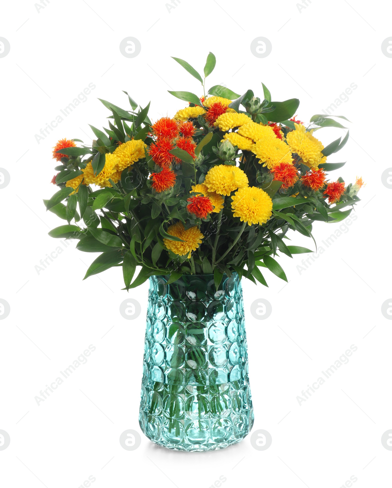 Photo of Vase with bouquet of beautiful aster flowers on white background