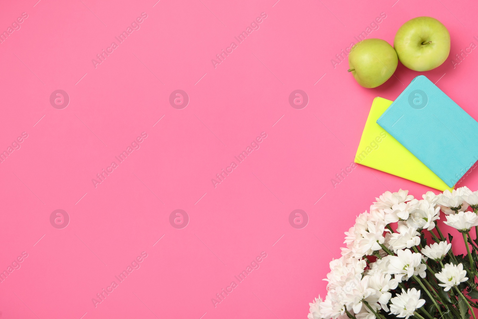 Photo of White chrysanthemum flowers, notebooks and apples on pink background, flat lay with space for text. Teacher's day