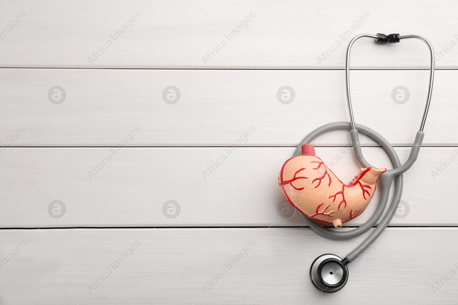 Photo of Human stomach model and stethoscope on white wooden table, flat lay. Space for text