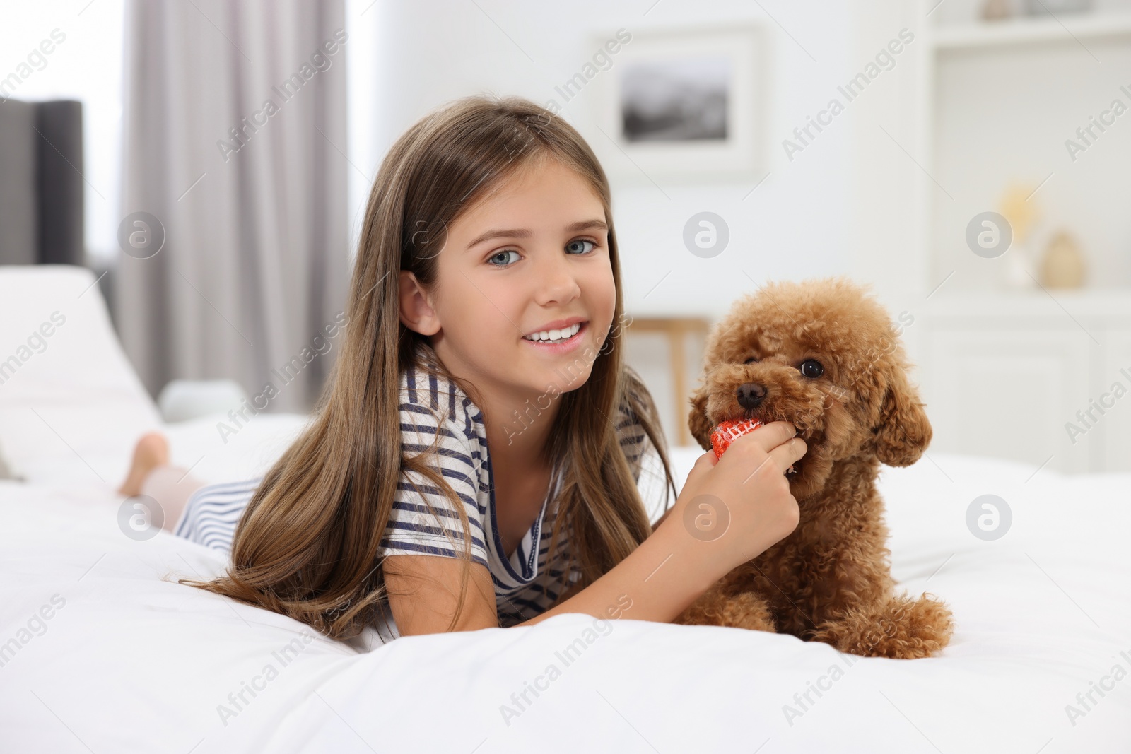 Photo of Little child playing with cute puppy on bed at home. Lovely pet