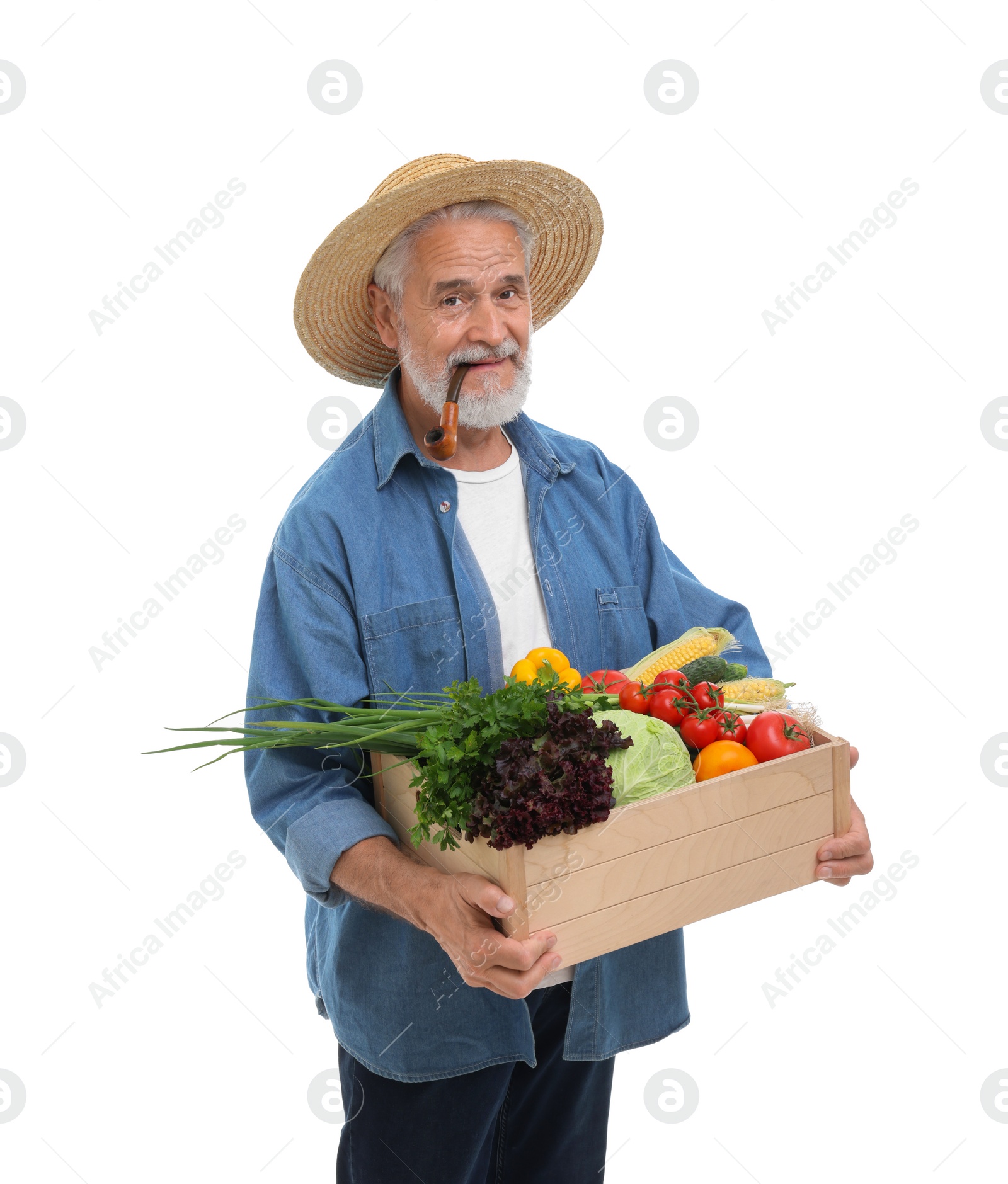 Photo of Harvesting season. Farmer with smoking pipe holding wooden crate with vegetables on white background