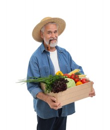 Harvesting season. Farmer with smoking pipe holding wooden crate with vegetables on white background