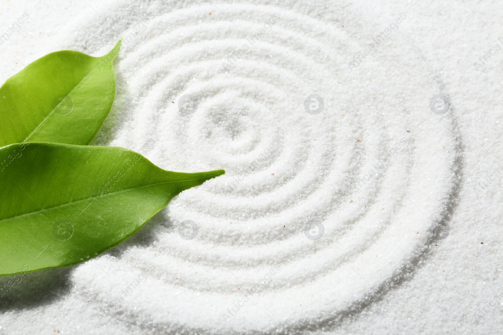 Photo of Zen rock garden. Circle pattern and green leaves on white sand, closeup