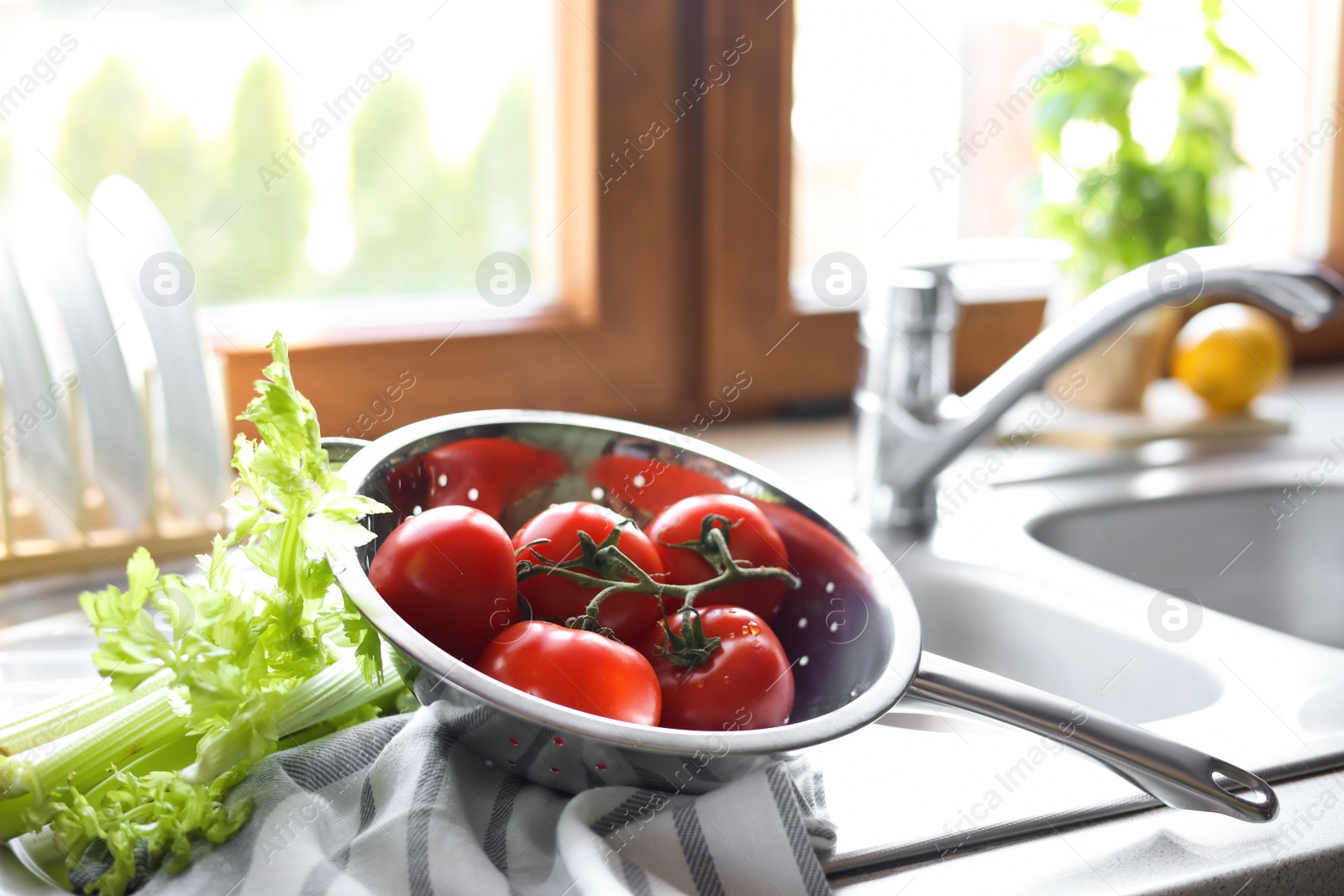 Photo of Fresh raw tomatoes and celery on countertop near sink in kitchen