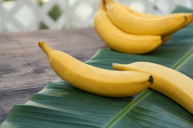 Photo of Delicious bananas and green leaf on wooden table