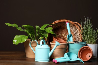 Beautiful plants and gardening tools on wooden table against brown background