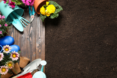 Gardening tools and flowers on wooden board near soil, flat lay. Space for text