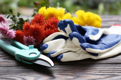 Gardening gloves, pruner and flowers on wooden table, closeup