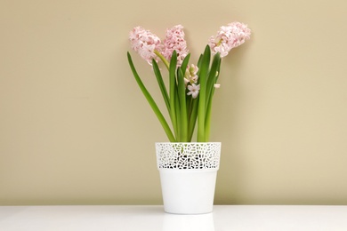 Beautiful spring hyacinth flowers on table against color background