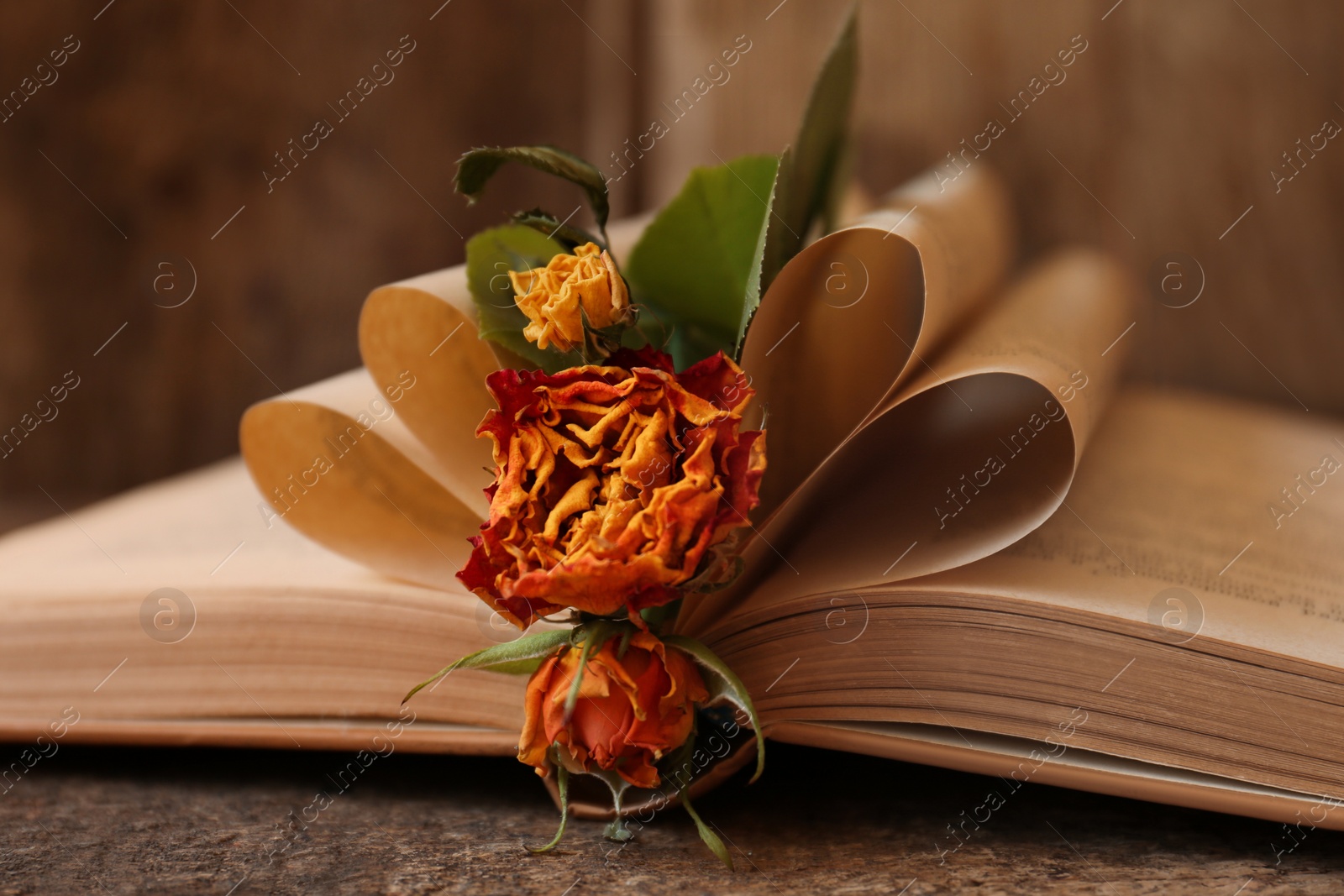 Photo of Open book with folded pages and beautiful dried flowers on wooden table, closeup