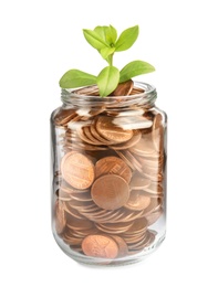 Photo of Glass jar with coins and green plant isolated on white. Pension savings