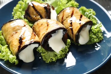 Plate with tasty fried eggplant rolls, closeup