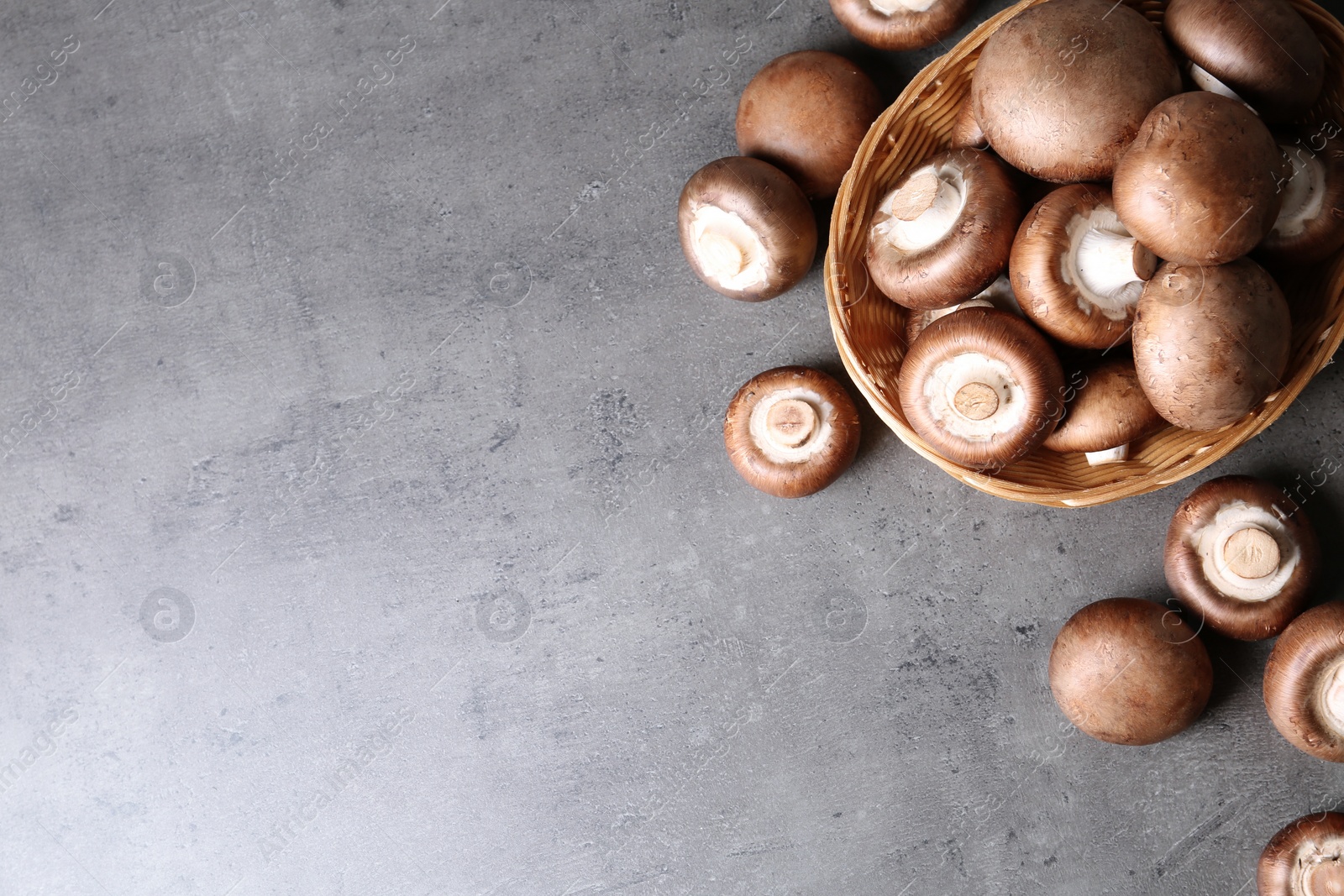 Photo of Wicker bowl and fresh champignon mushrooms on grey background, top view with space for text