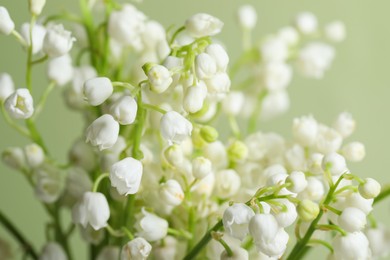 Beautiful lily of the valley flowers on light green background, closeup