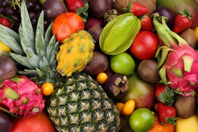 Assortment of fresh exotic fruits as background, top view