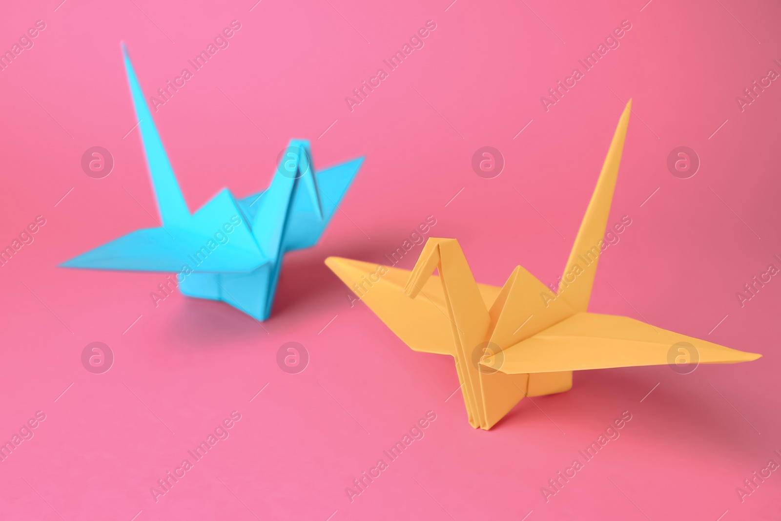 Photo of Origami art. Colorful handmade paper cranes on pink background