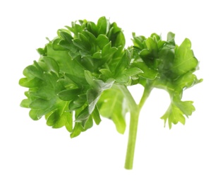 Photo of Fresh green curly parsley on white background