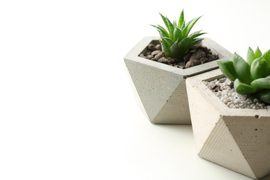 Photo of Succulent plants in concrete pots on white table, closeup. Space for text