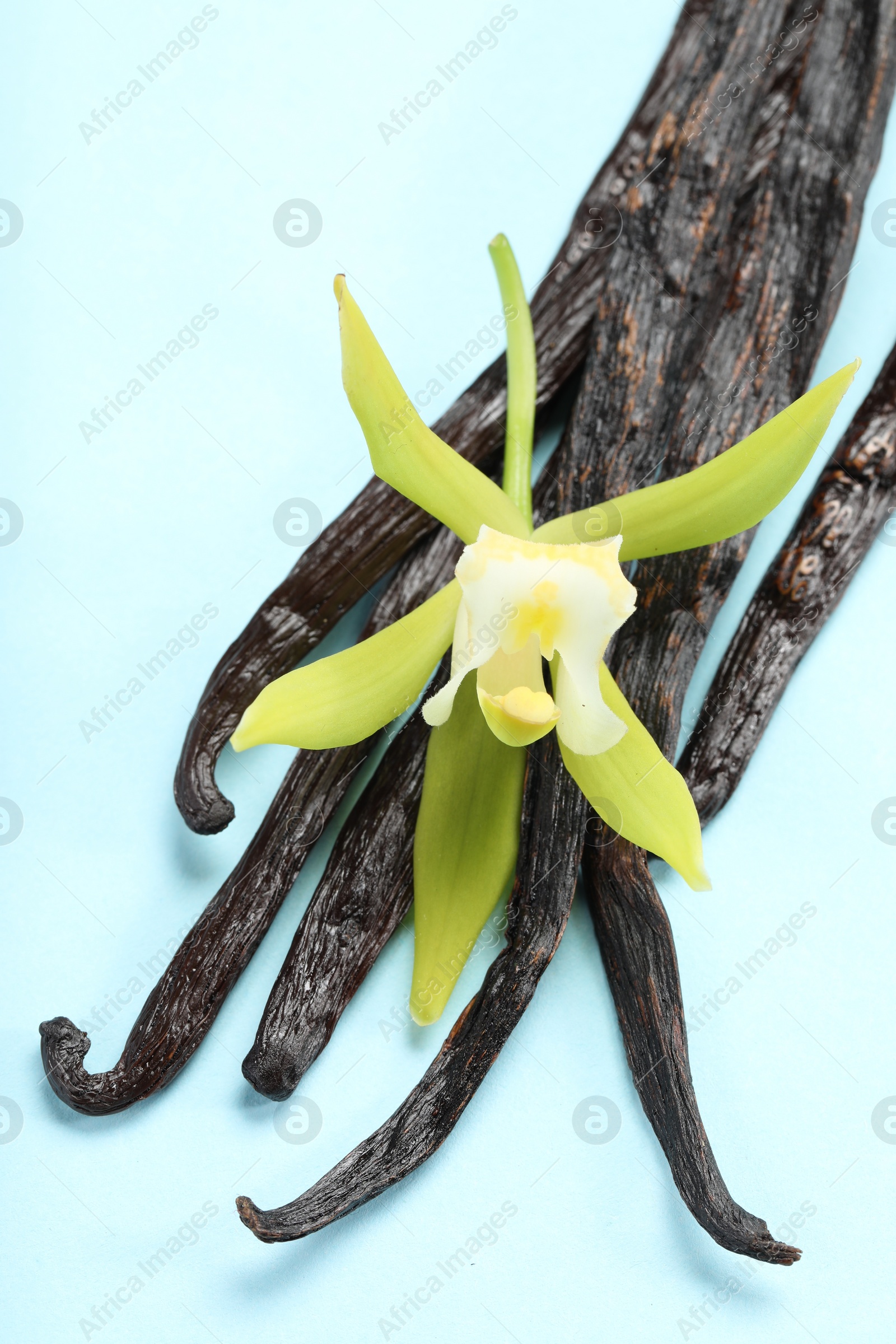 Photo of Vanilla pods and beautiful flower on light blue background, closeup