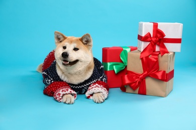 Photo of Cute Akita Inu dog in Christmas sweater near gift boxes on blue background