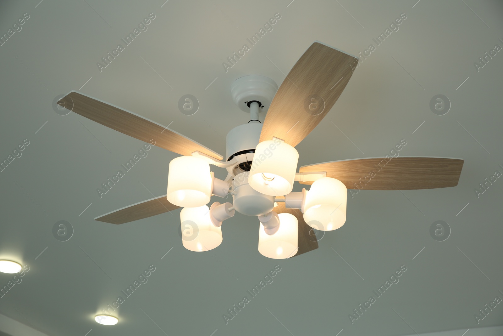 Photo of Ceiling fan with lamps indoors, low angle view