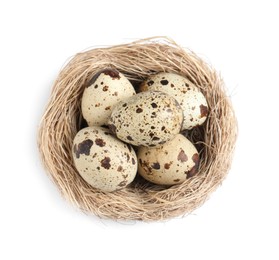 Photo of Nest with quail eggs isolated on white, top view