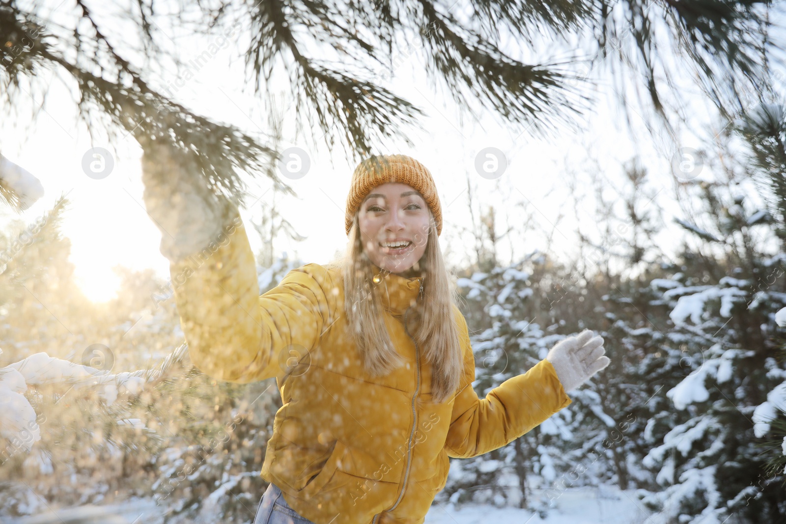 Photo of Woman shaking off snow from tree branch in forest on winter day