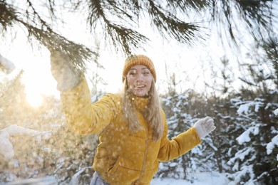 Woman shaking off snow from tree branch in forest on winter day