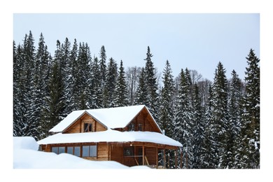Paper photo. Modern cottage in snowy coniferous forest on winter day
