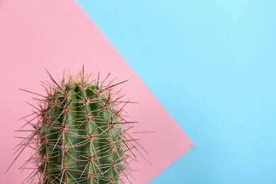 Photo of Beautiful cactus plant on color background, closeup. Space for text