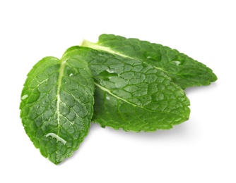 Photo of Wet leaves of fresh mint isolated on white