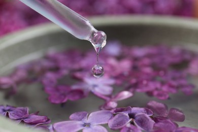 Dripping essential lilac oil into bowl, closeup