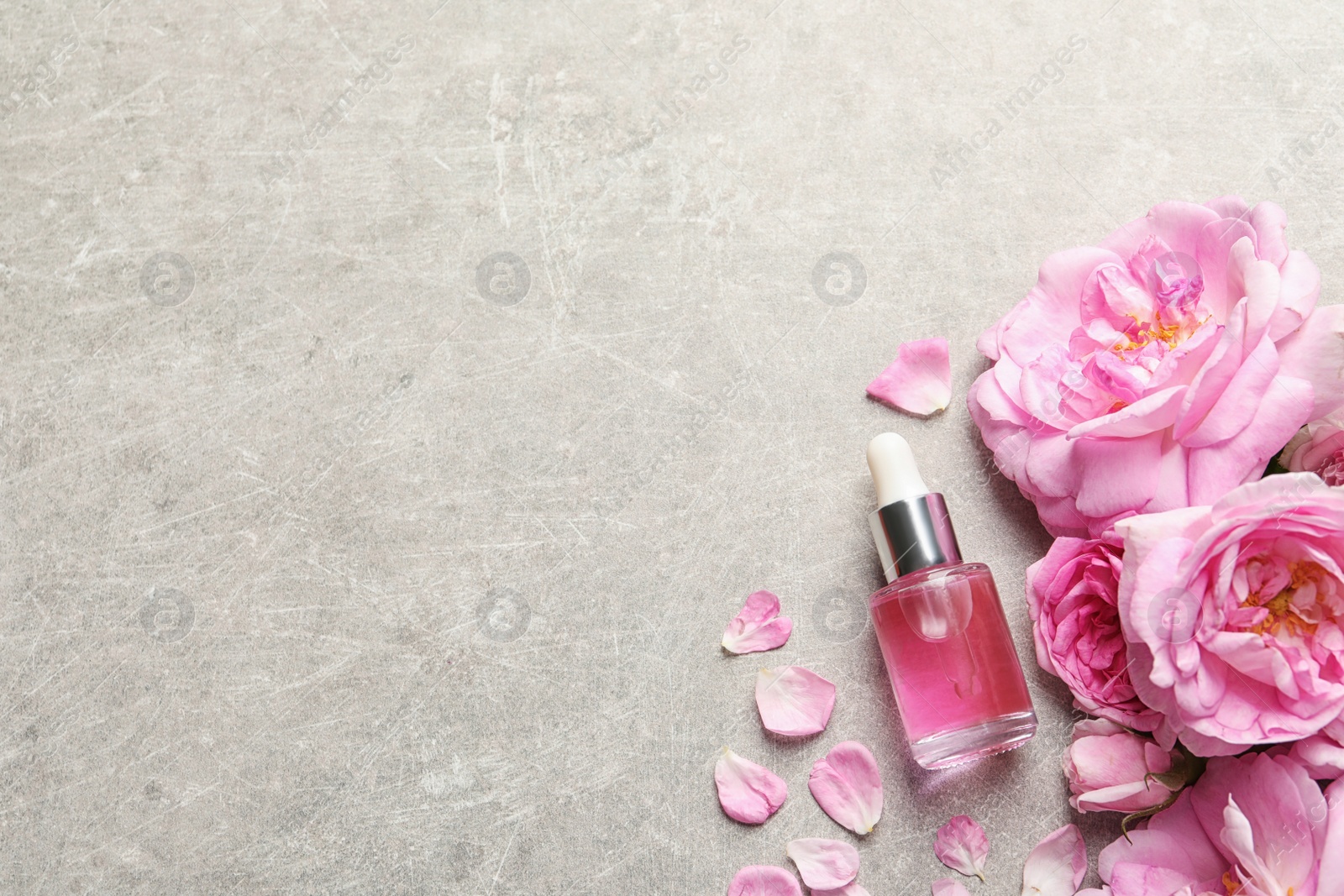 Photo of Bottle of rose essential oil, petals and flowers on grey table, flat lay. Space for text