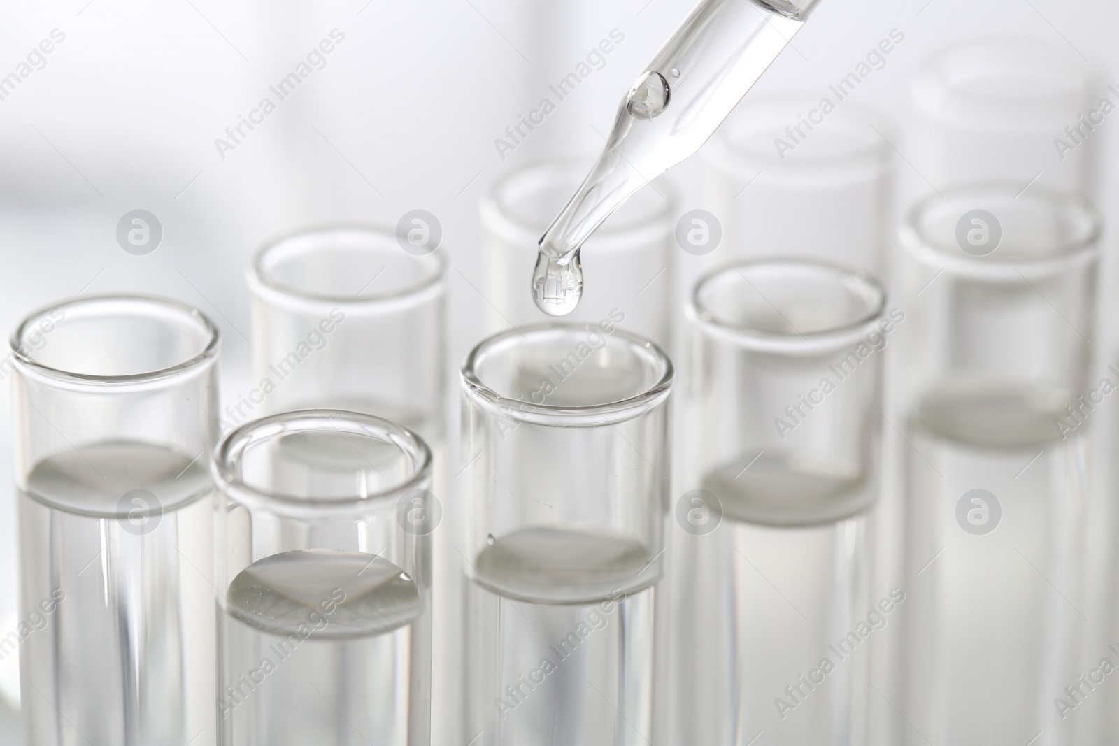 Photo of Laboratory analysis. Dripping liquid from pipette into glass test tube on blurred background, closeup