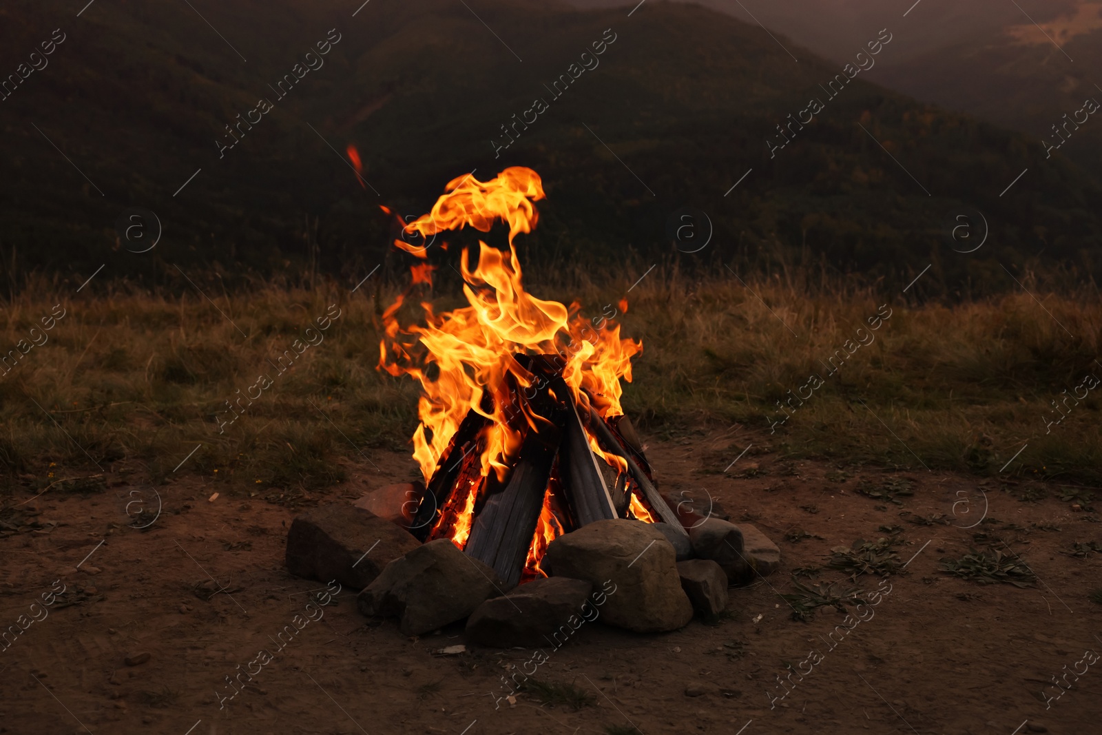 Photo of Beautiful bonfire with burning firewood outdoors at night. Camping season