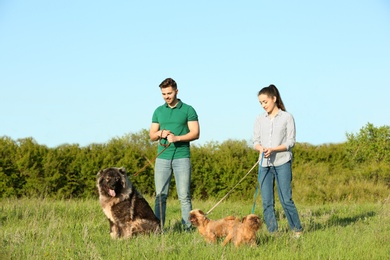 Photo of Young couple walking their dogs in park