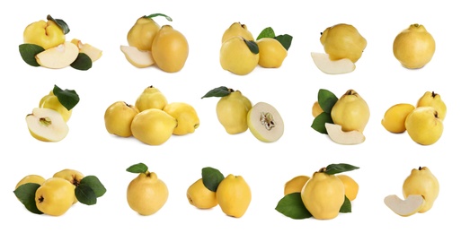 Image of Set of delicious ripe quinces on white background. Banner design