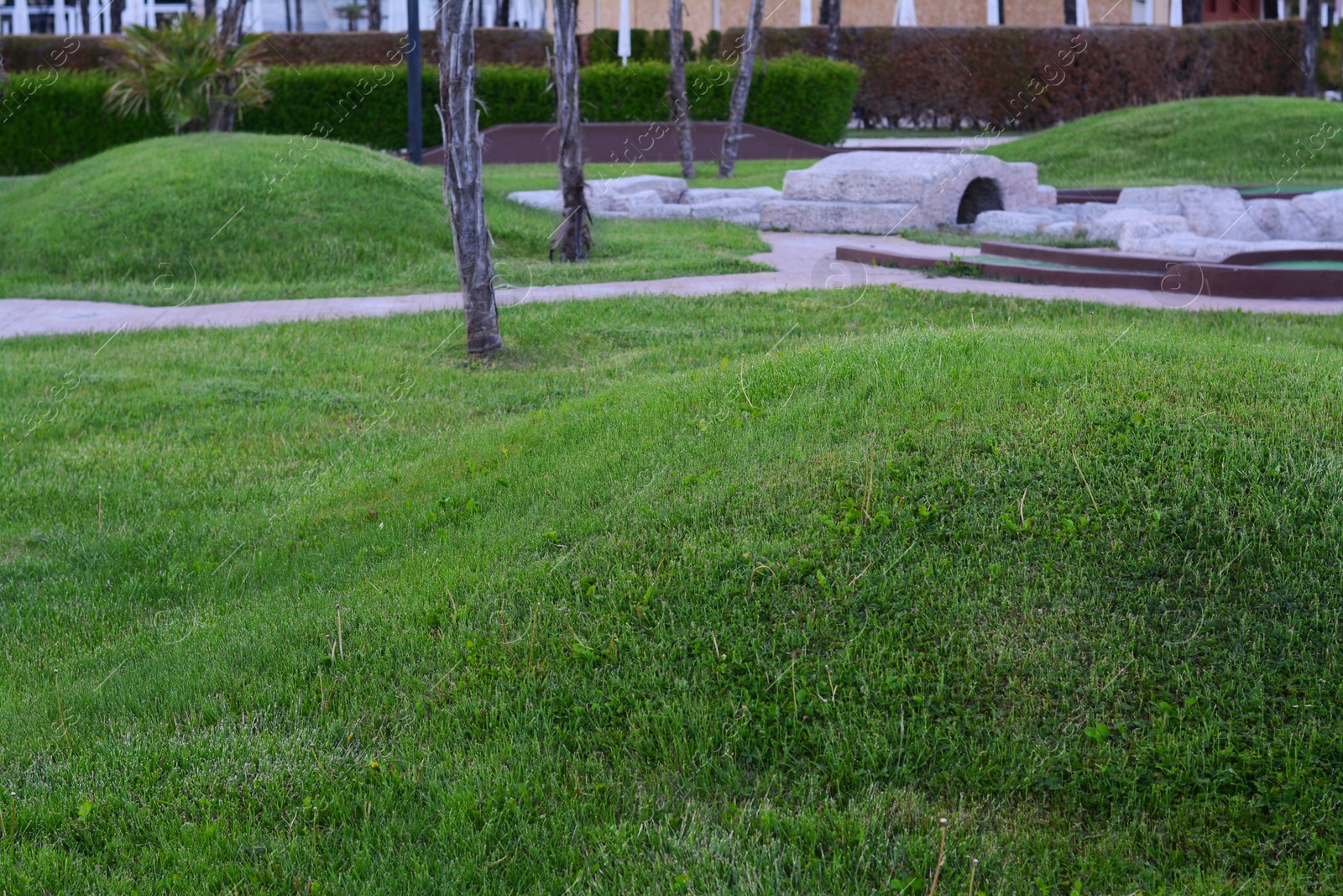 Photo of Beautiful park with green lawn, plants and walkways