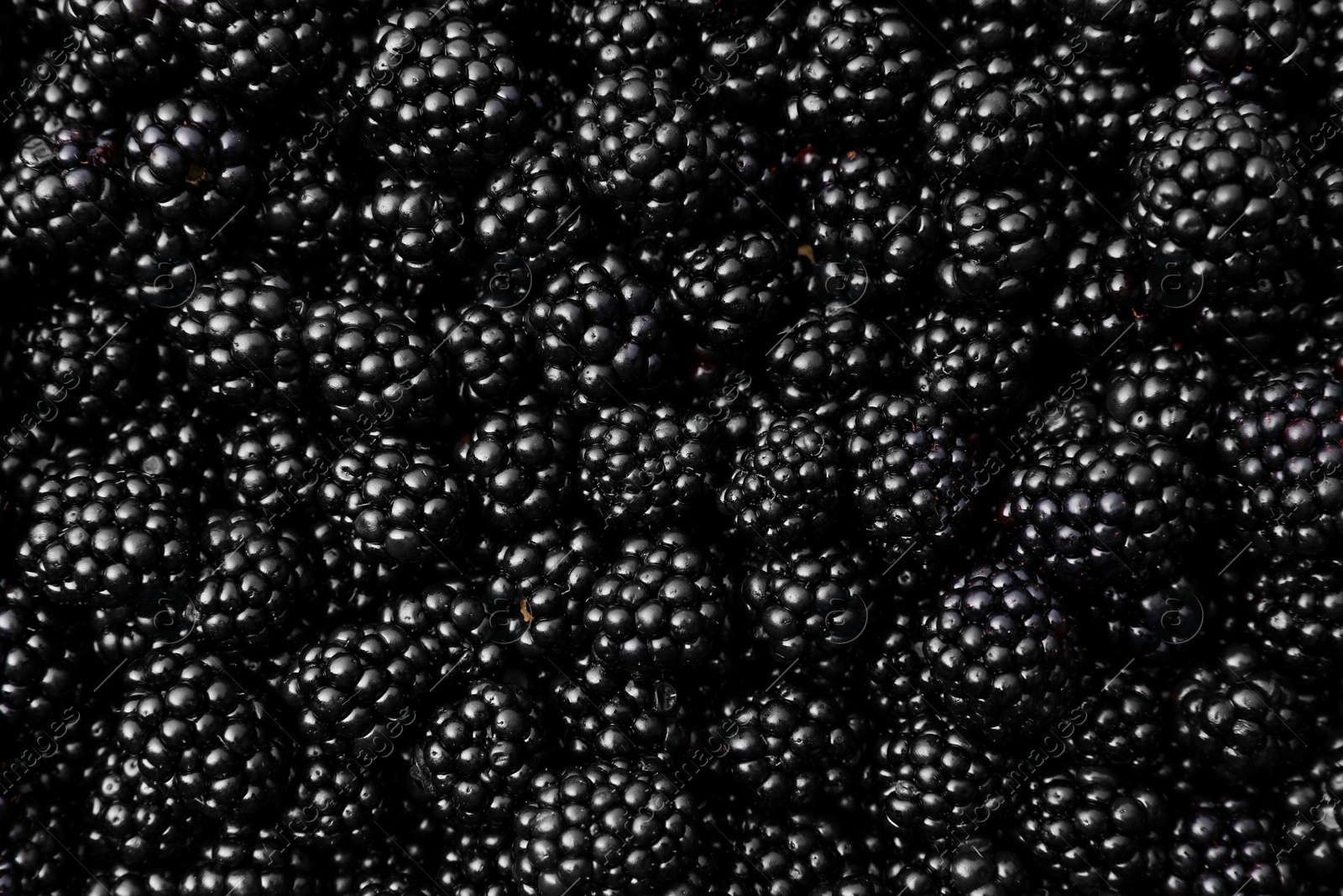 Photo of Many tasty ripe blackberries as background, closeup