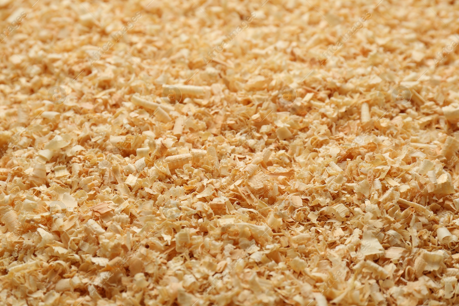 Photo of Dry natural sawdust as background, closeup view