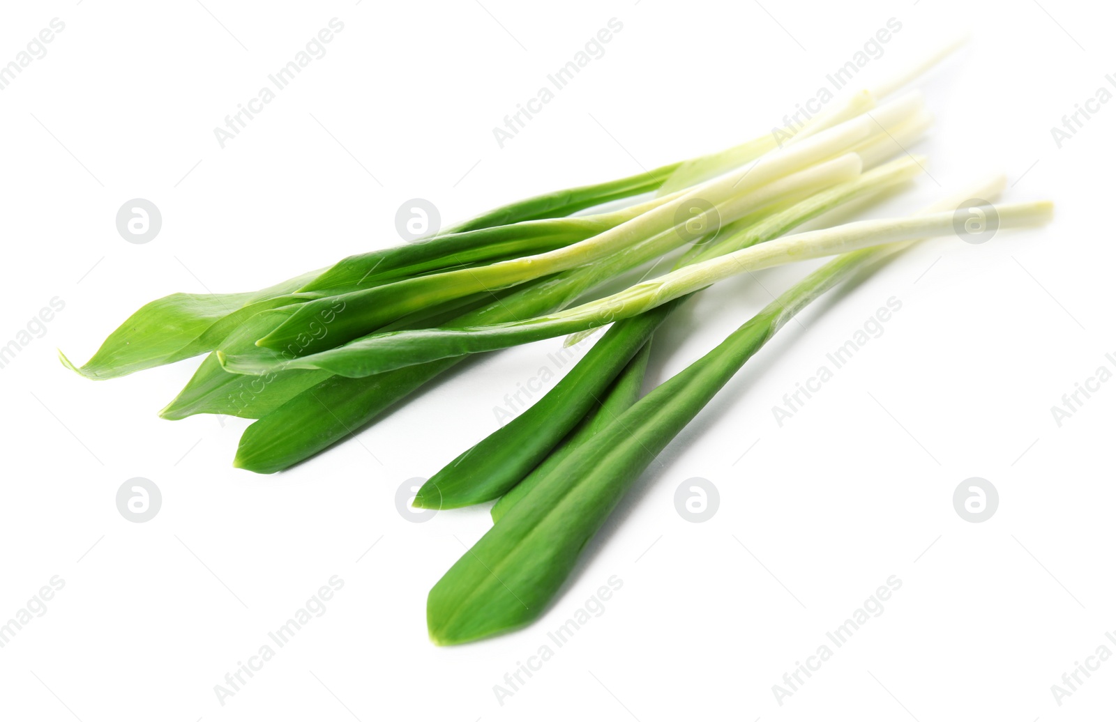 Photo of Fresh wild garlic or ramson isolated on white