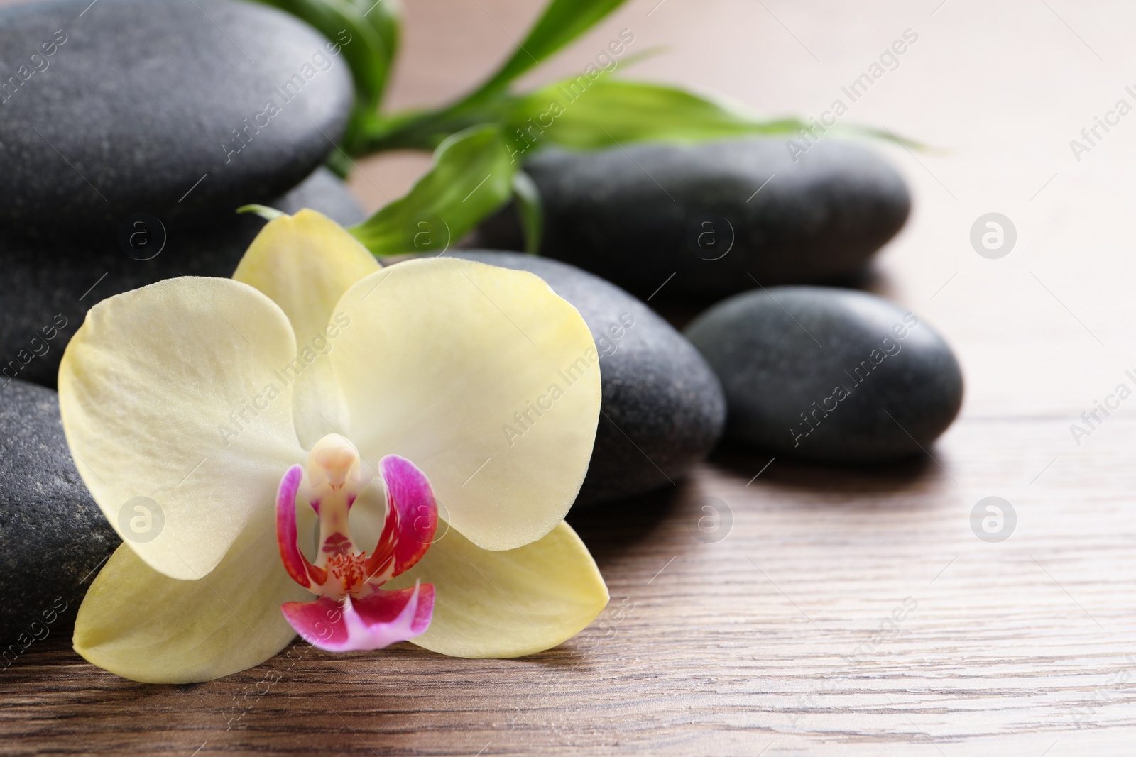 Photo of Spa stones, beautiful orchid flower and bamboo sprout on wooden table, closeup. Space for text