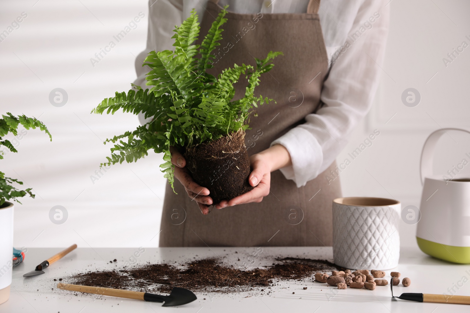 Photo of Woman holding fern above white table, closeup